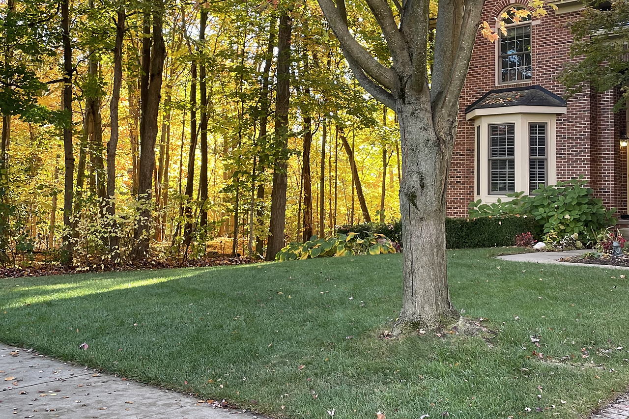 A finished lawn, cut and edged